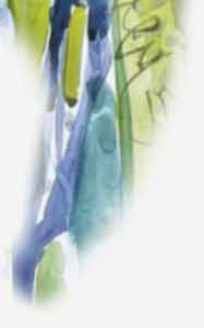 Georg Karbach :: Dispersion :: Aquarelle